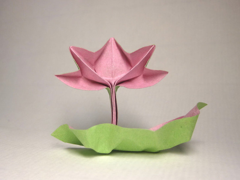 Оригами кувшинка