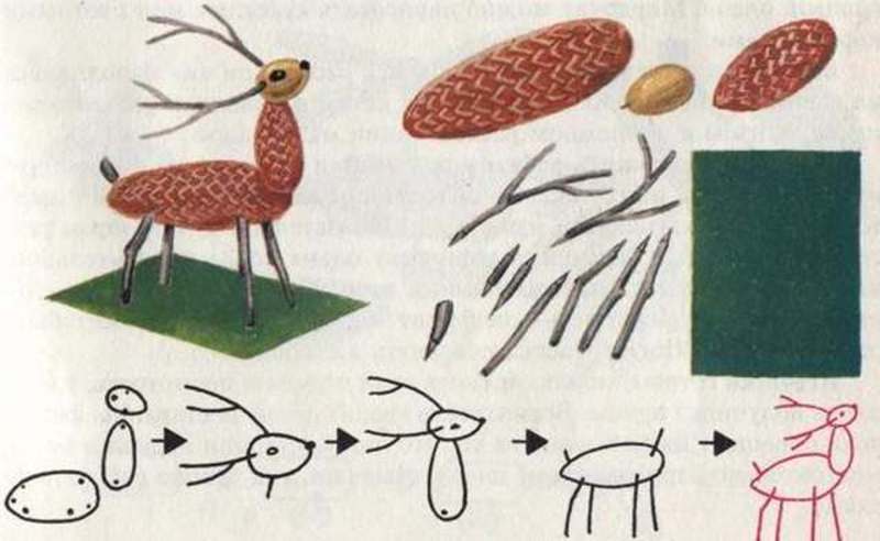 Схема создания оленя