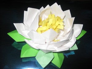 Оригами цветы. Кувшинка.